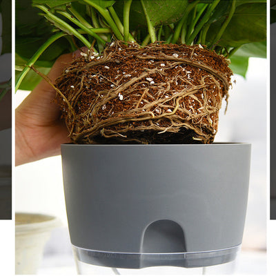 Automatic Self Watering Pot